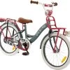 2Cycle Desire Kinderfiets - 20 Inch - Voordrager -Grijs-Roze - Meisjesfiets