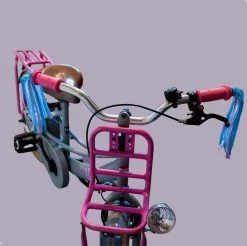 Entergoods® Stuurslingers - Fiets Versiering Kinderen - Stuurversiering Slingers - Handvat Streamers Voor Meisjes - Streamers Voor Jongens - BlauwPaarse Franjes - 2 Stuks - 24 CM - Stuurslingers Voor Kinderfiets -Fiets Serie Winkel 1200x1193 14