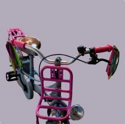 Entergoods® Stuurslingers - Fiets Versiering Kinderen - Stuurversiering Slingers - Handvat Streamers Voor Meisjes - Streamers Voor Jongens - Paars Groen Roze Franjes - 2 Stuks - 24 CM - Stuurslingers Voor Kinderfiets -Fiets Serie Winkel 1200x1193 17