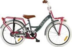 2Cycle Desire Kinderfiets - 20 Inch - Voordrager -Grijs-Roze - Meisjesfiets -Fiets Serie Winkel 1200x783 9