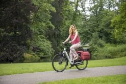 New Looxs Forest Joli Dubbele Fietstas - 37 Liter - Rood -Fiets Serie Winkel 1200x799 31