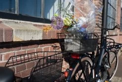 Fastrider Olav Fietsmand Voor Achterdrager - Inclusief Bevestiging - 25 Liter - Metaal - Zwart -Fiets Serie Winkel 1200x800 134