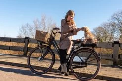 Fastrider Olav Fietsmand Voor Achterdrager - Inclusief Bevestiging - 25 Liter - Metaal - Zwart -Fiets Serie Winkel 1200x800 137