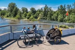 Burley Bee Double Kinderfietskar - Twee Kinderen -Fiets Serie Winkel 1200x800 158