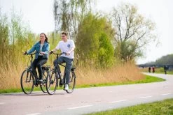 Amigo E-Vibe D1 - Elektrische Stadsfiets Voor Heren - Met 7 Versnellingen - Matgrijs -Fiets Serie Winkel 1200x800 226
