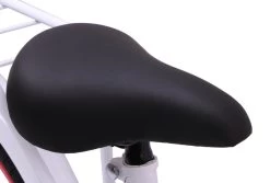 Amigo Sweetheart Meisjesfiets - Kinderfiets 20 Inch - Wit 29 Amigo Sweetheart Meisjesfiets - Kinderfiets 20 Inch - Wit -Fiets Serie Winkel 1200x813 9