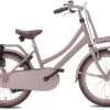 Valetta Cargo - Transportfiets - Meisjesfiets - 20 Inch - Mat Flamingo