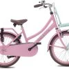Valetta Cargo - Transportfiets - Meisjesfiets - 20 Inch - Mint Roze