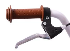 Amigo Bloom Meisjesfiets - Kinderfiets 20 Inch - Turquoise -Fiets Serie Winkel 1200x876 8