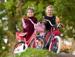 Amigo Magic Meisjesfiets - Kinderfiets 14 Inch - Wit -Fiets Serie Winkel 1200x917 16