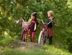 Amigo Bloom Meisjesfiets - Kinderfiets 20 Inch - Turquoise -Fiets Serie Winkel 1200x917 6