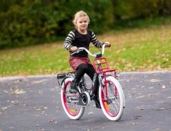 Amigo Bloom Meisjesfiets - Kinderfiets 20 Inch - Turquoise -Fiets Serie Winkel 1200x917 7