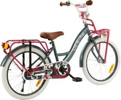 2Cycle Desire Kinderfiets - 20 Inch - Voordrager -Grijs-Roze - Meisjesfiets -Fiets Serie Winkel 1200x995 1