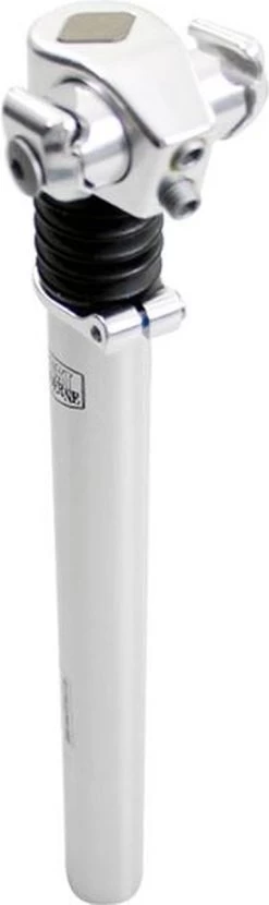 Zadelpen Verend 27,2 X 310 Mm Aluminium Zilver 12 Zadelpen Verend 27,2 X 310 Mm Aluminium Zilver -Fiets Serie Winkel 357x1200