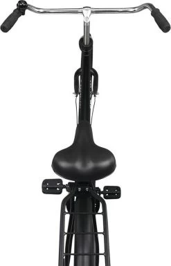 Crown Moscow Omafiets 28 Inch 53cm Grijs -Fiets Serie Winkel 770x1200 3