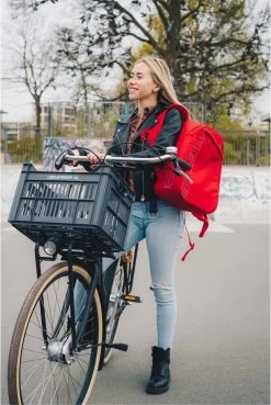 Gerecyclede Fietskrat Urban Proof 30 Liter - As Grijs 17 Gerecyclede Fietskrat Urban Proof 30 Liter - As Grijs -Fiets Serie Winkel 803x1200 5