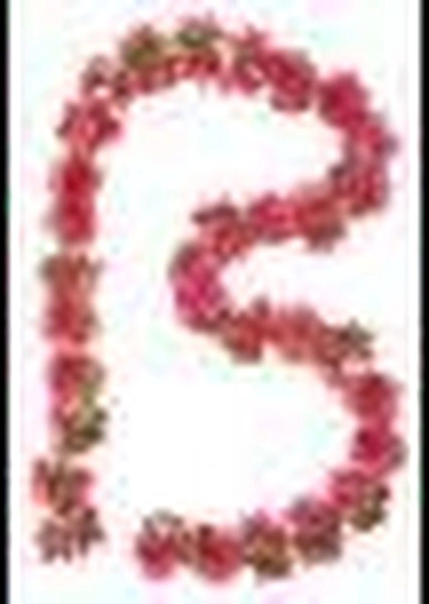 Basil Flower Garland Bloemenstreng - Roze 3 Basil Flower Garland Bloemenstreng - Roze - Afbeelding 3